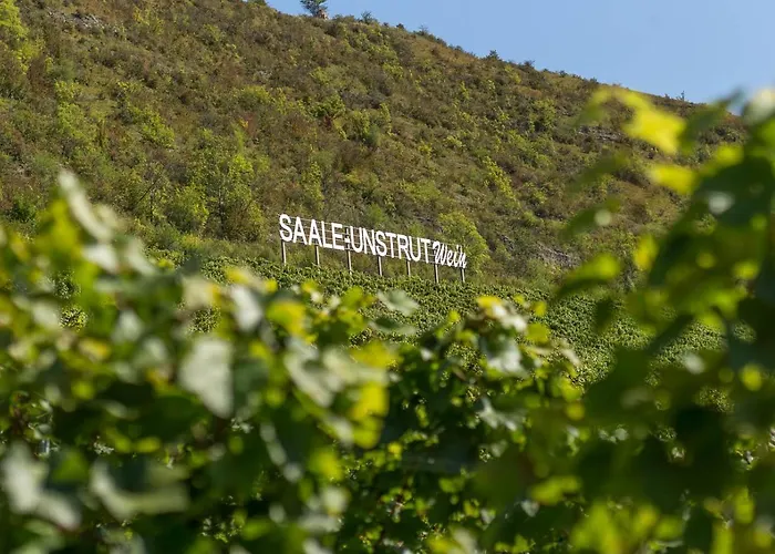 Lägenhet Appartement-weinberg
