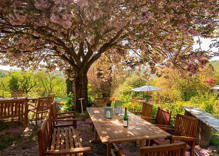 Appartement-weinberg Lägenhet *