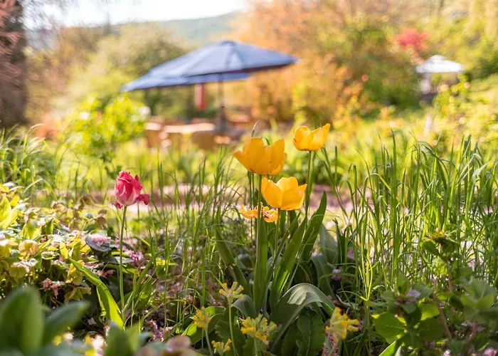 Appartement-weinberg Naumburg (Saale)