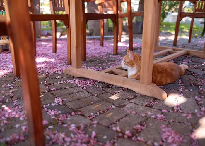 Appartement-weinberg